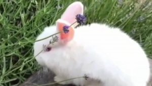 Я был когда-то маленький...🐇