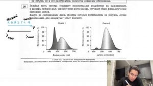 Голубая часть спектра оказывает положительное воздействие на выживаемость и размеры личинок - №27514