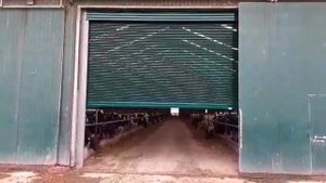 Автоматические стальные роллеты