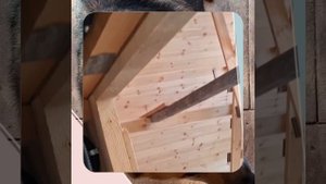 1000038515.mp4 (Собака смотрит на монтаж электропроводки (распайку р/коробок) в доме А-фрейм)