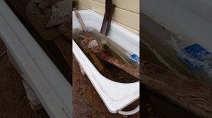 огород 29.10.2025