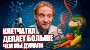ВСЕ, ЧТО НАУКА ЗНАЕТ О КЛЕТЧАТКЕ! ПОЧЕМУ ОНА СНИЖАЕТ РИСК СМЕРТИ!