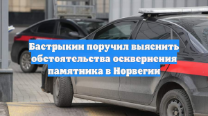 Бастрыкин поручил выяснить обстоятельства осквернения памятника в Норвегии