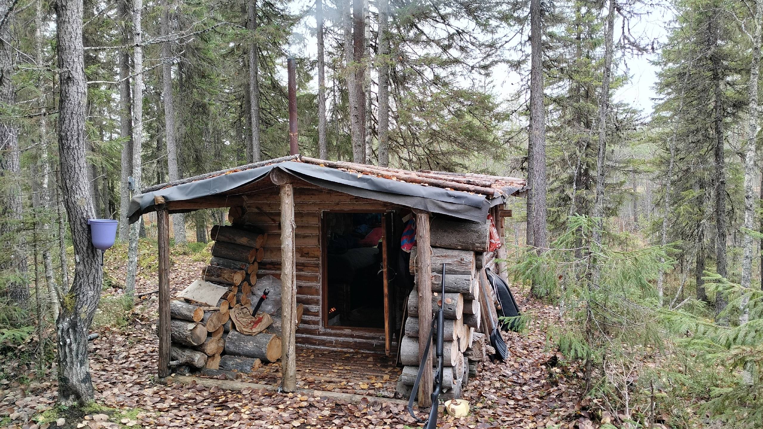 УШЛИ В ИЗБУ НА ЧЕТЫРЕ ДНЯ. ОХОТИМСЯ НА БОРОВУЮ ДИЧЬ. ЧАСТЬ1 смотреть онлайн