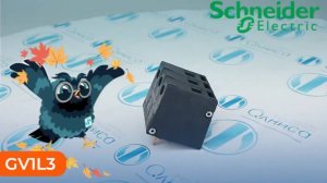 GV1L3 Ограничитель тока Schneider Electric - Олниса