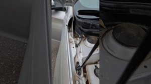 Chan Gan Alsvin 2024