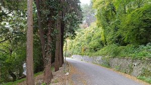 12) На зиму в Абхазию -4. Холодная речка, "Солнечный", прогулка к даче Сталина