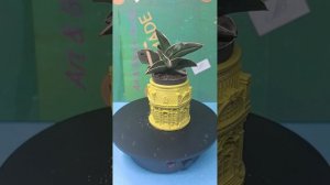 Кашпо из гипса ручная работа.