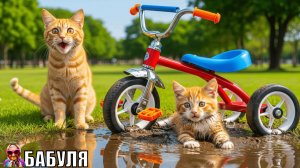 Мультик про животных| Мультики для детей | Котик на велосипеде| БАБУЛЯ - ДОБРЫЕ СКАЗКИ
