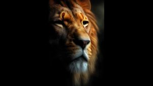 Король Лев !!!