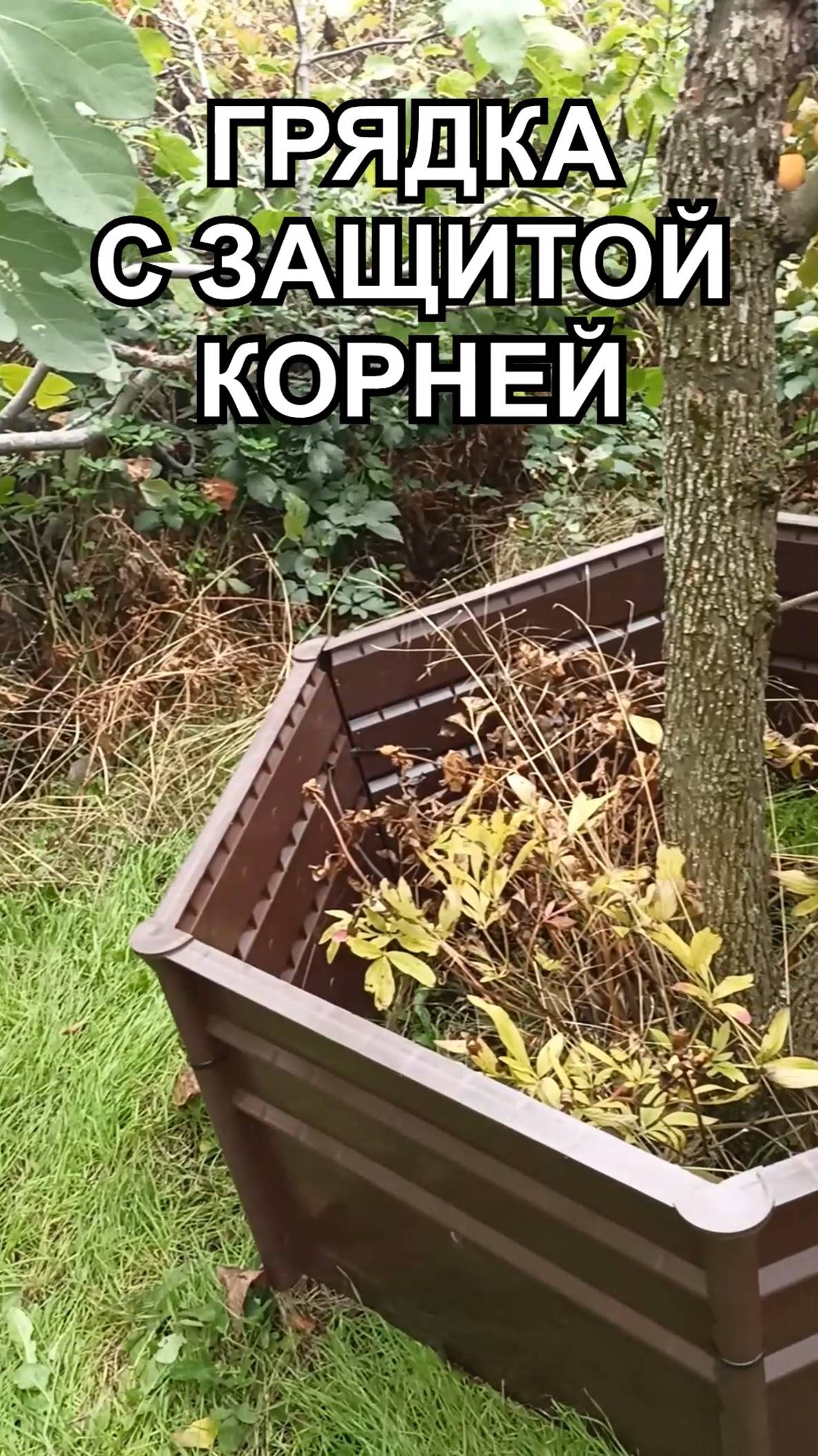 Грядка без сорняков и прополки - это реально возможно! Сборные грядки для дачи. смотреть онлайн