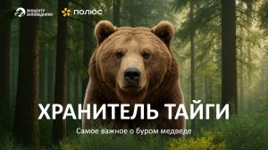 Бурый Медведь: Всё, что нужно знать, за 2 минуты | Заповедный Урок «Полюса»