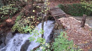 29-10-2025 ходила к речке 🏞️