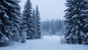 Инструментальная, зимняя музыка.