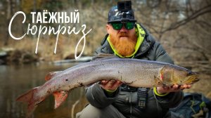 Таймень - подарок таёжной реки. Ленок на воблеры и джиг.