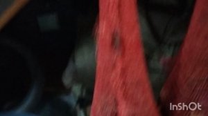 Обзор сортов лука сезон 2025г. "Прибираю" урожай