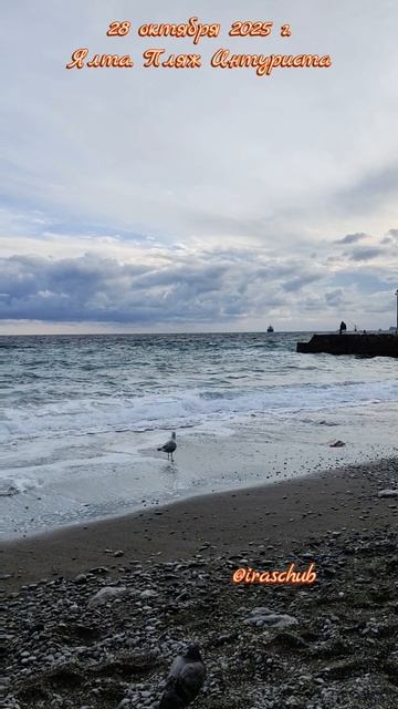 28 октября 2025 г. Ялта. Пляж Интуриста #ялта #ялта2025