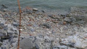 Азовское море_Таганий Рог_24.10.2025г