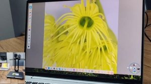 Документ-камера (визуальный презентер) COOBSTER FT-F801