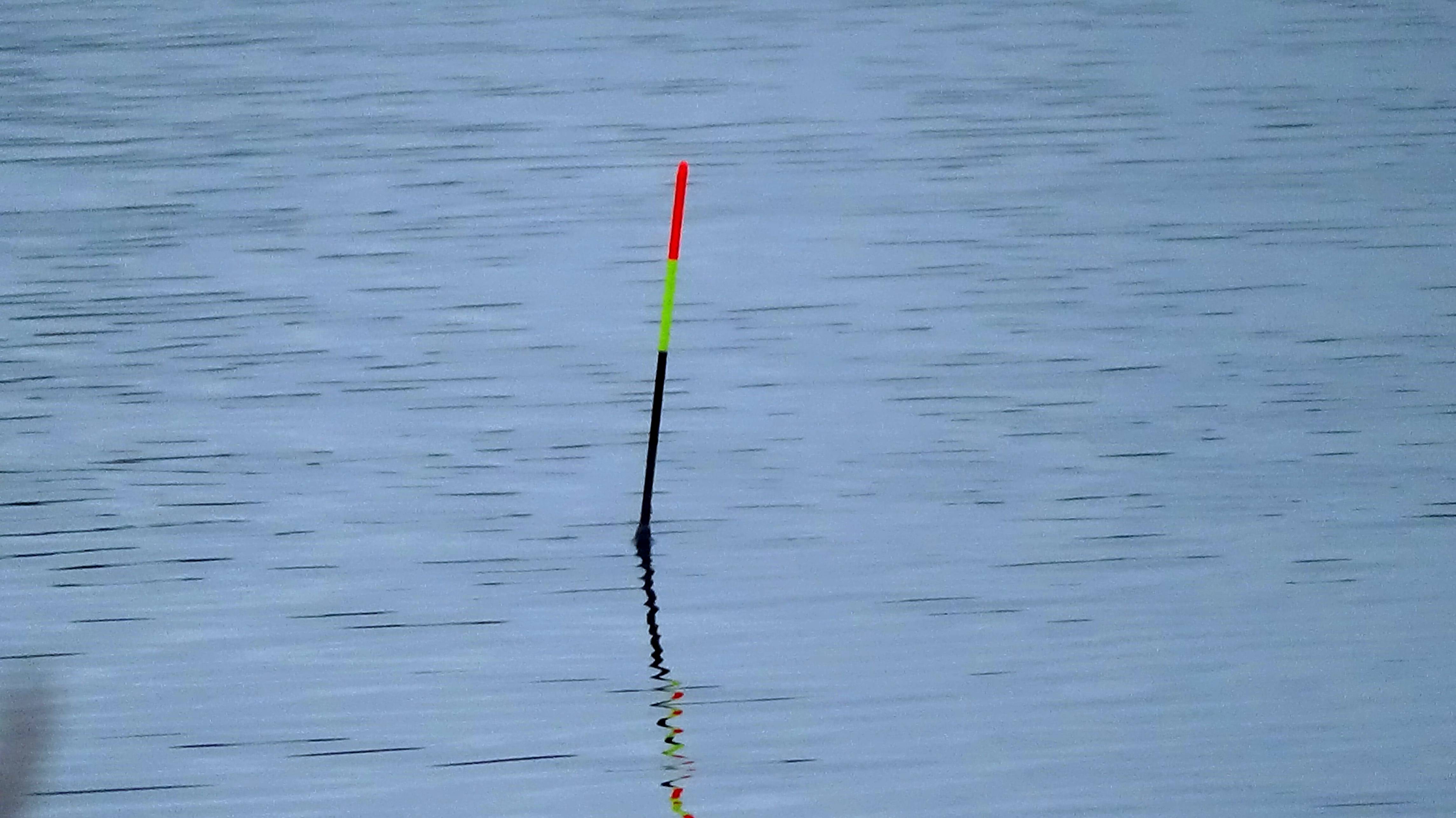 Рыбалка на поплавок 27 октября на плотву и краснопёрку с настила через тростник - мотыль рулит