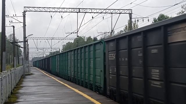 Осеньй и Проходящих Осень сказка Октябрьская Железная дорога 2025 году. смотреть онлайн