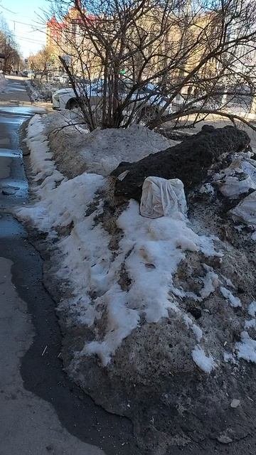 №301. ул. Газеты Звезда. 25 марта 2025 г., 15:45:44. VID_20250325_154448353