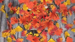 «Наш день» 28 октября 2025