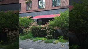 Внутренний двор , теневой сад, фабрика Большевик