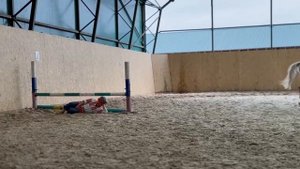 Конное дефиле