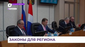 Решение о присоединении Приморья к программе «Земский тренер» поддержано депутатами