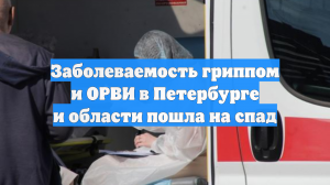 Заболеваемость гриппом и ОРВИ в Петербурге и области пошла на спад