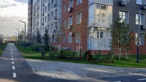 video_2025-10-29_18-00-23