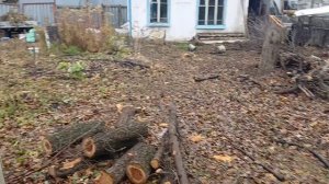 Что сделано на новом участке. 29.10.2025г.