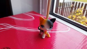 LPS недостатки в моём детстве.