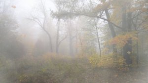 Футаж. Осенний пейзаж 33