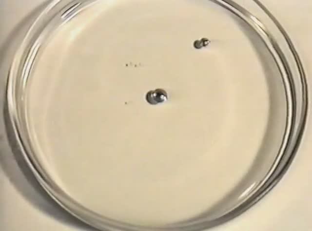 Физика. Опыты. Живые капли ртути смотреть онлайн