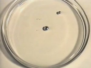 Физика. Опыты. Живые капли ртути