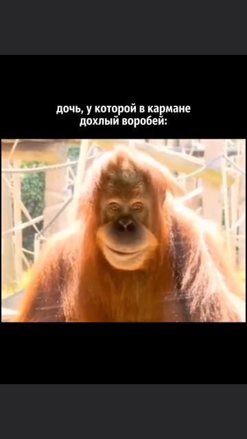 а что находили вы?