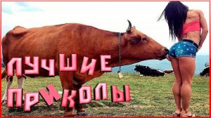 СМЕШНЫЕ ВИДЕОПРИКОЛЫ |Смешные видео с людьми | Я РЖАЛ ДО СЛЕЗ|ПОДБОРКА ПРИКОЛОВ