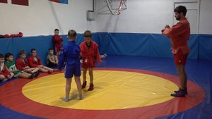 Секция самбо