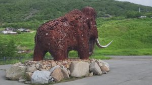 Природа Колымы. The nature of Kolyma