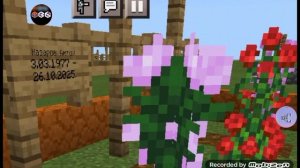 Простились с Антоном Назаровым. Его похоронили на Новодевичьем кладбище рядом с А. Горшковым!