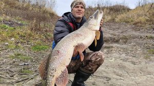 Вот это улов! Щука мечты поймана? Рыбалка на Трофейную Щуку!