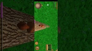 Симулятор белок.