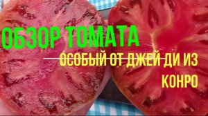 обзор вкусного крупноплодного  уникального томата сорта Особый от Джей Ди из Конро