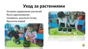 Якимова, Дышлюк. ЭКОЛОГИЧЕСКИЙ ПРОЕКТ «ЛЕКАРСТВЕННЫЕ РАСТЕНИЯ В КОМНАТНЫХ УСЛОВИЯХ»