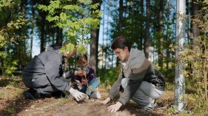 Посади дерево, вырасти свой лес