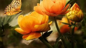 Обсуждение_темы__Каков_будет_конец_нечестивых_Взгляд_через_призму  искупления