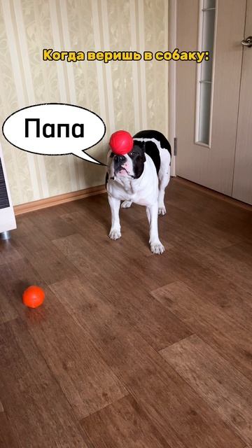 Когда веришь в своего псына. смотреть онлайн