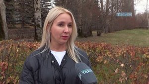 О бездомных собаках